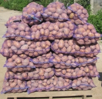 Как заработать 1000000 рублей в год на продаже и доставке картофеля?