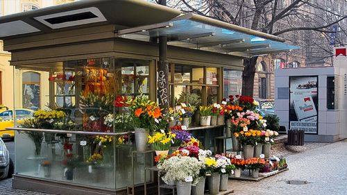 Выращивание цветов в теплице как бизнес - выгодно ли