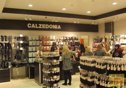 Франшиза Кальцедония (Calzedonia): как купить, отзывы, стоимость